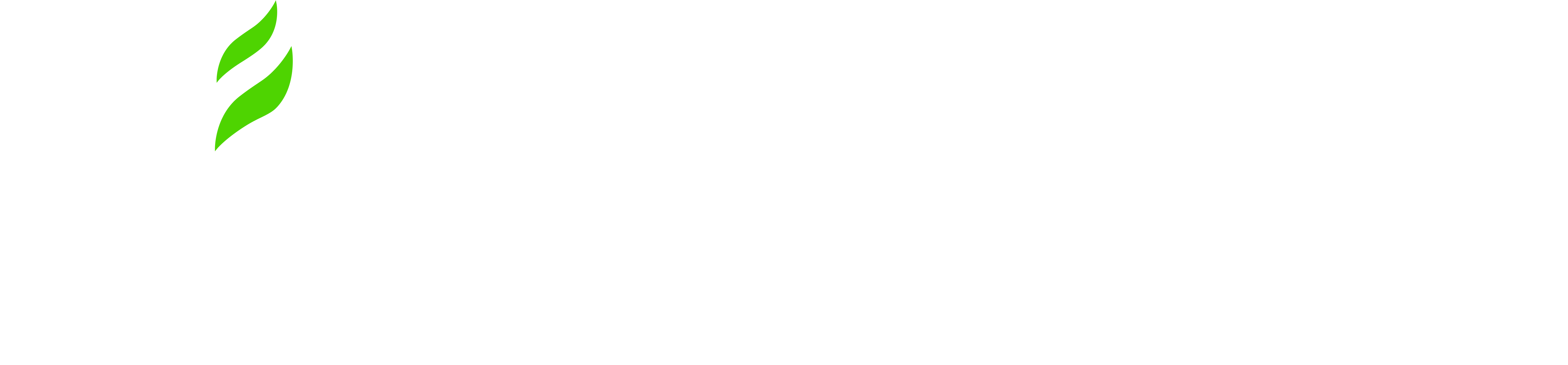 Hillel IT School